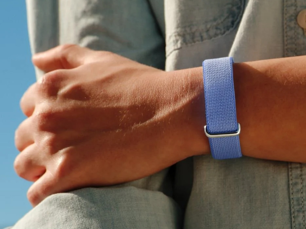 Google Fitbit Air