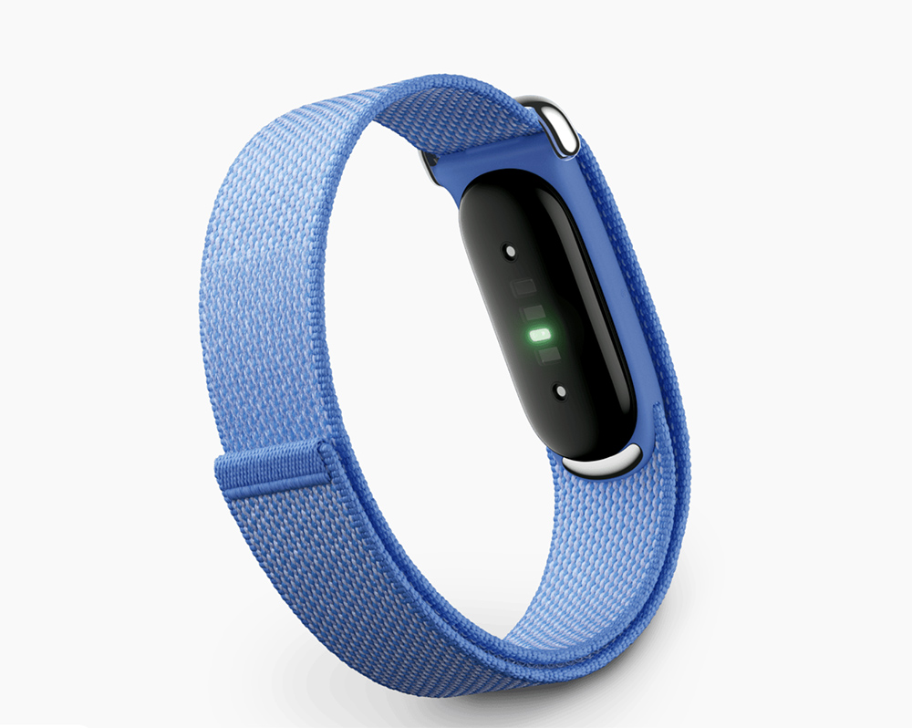 Google Fitbit Air