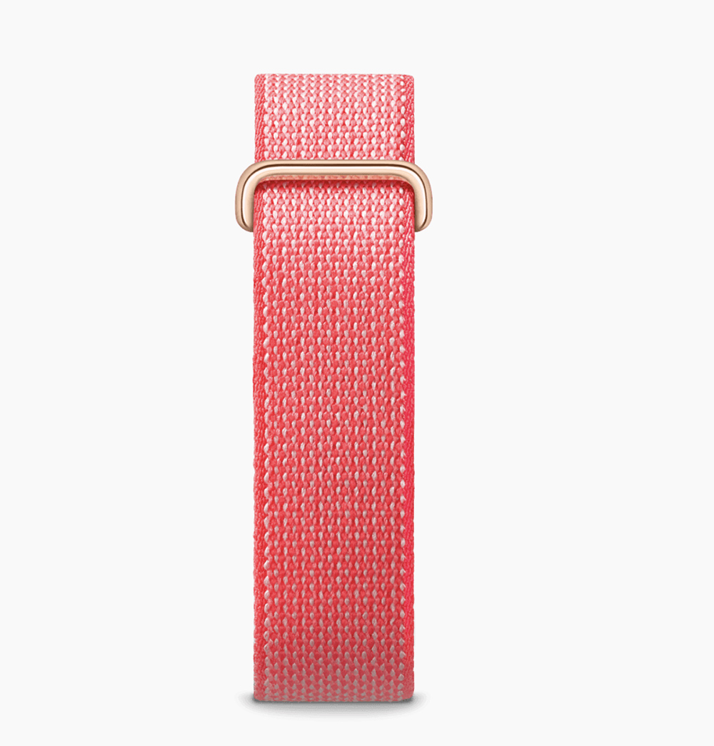 Google Fitbit Air