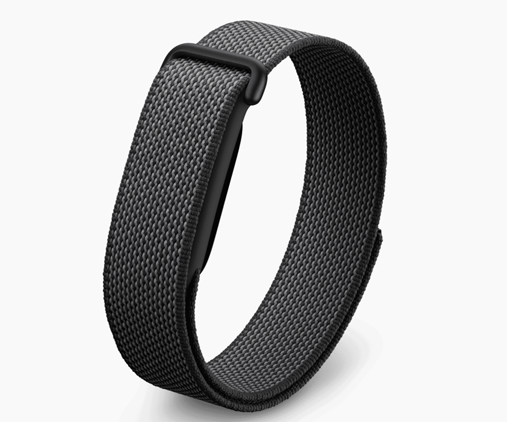 Google Fitbit Air