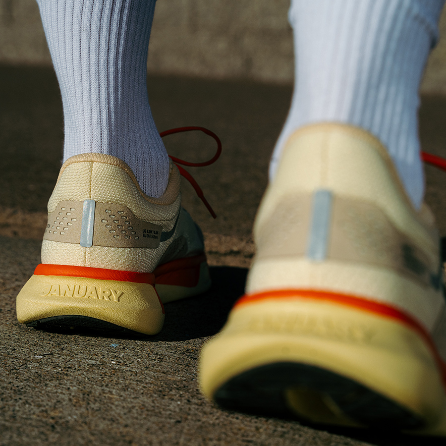 January launches with its Scignal daily trainer