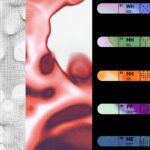Whoop's Advanced Labs blood testing service will no longer require a subscription